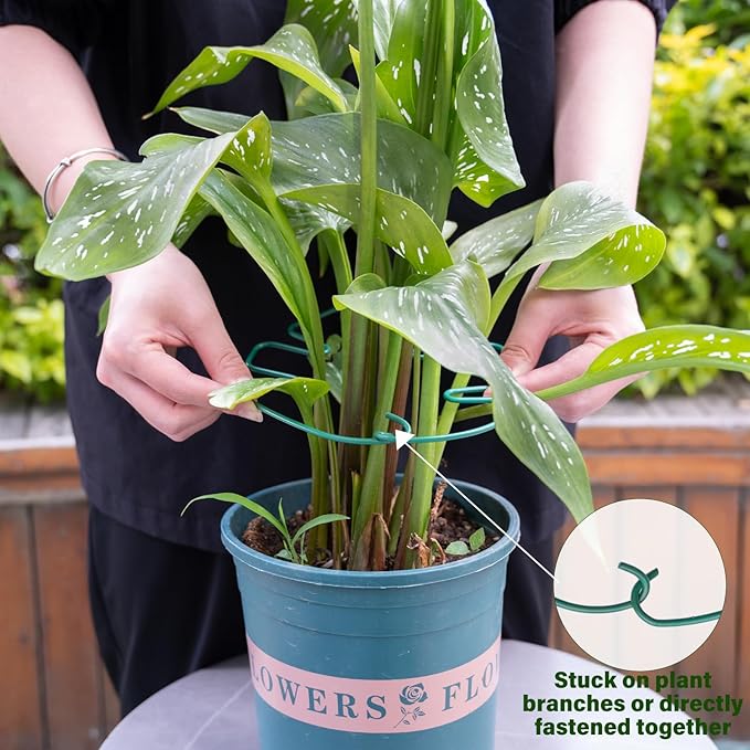 5PCS Monstera Plant Stem Support 7.3*6.25IN Adjustable Holder for Indoor Plants, Durable Metal Structure with Gentle Clips, Perfect for Fishbone Cactus & Climbing Plants, Ideal Gardening Gift