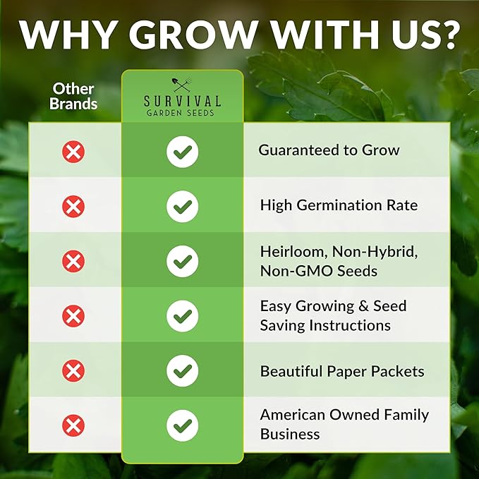 Survival Garden Seeds - Bergamot Herb (Bee Balm) Seed for Planting - 5 Packets with Instructions to Grow Monarda Fistulosa Wildflowers in Your Home Vegetable Garden - Non-GMO Heirloom Variety