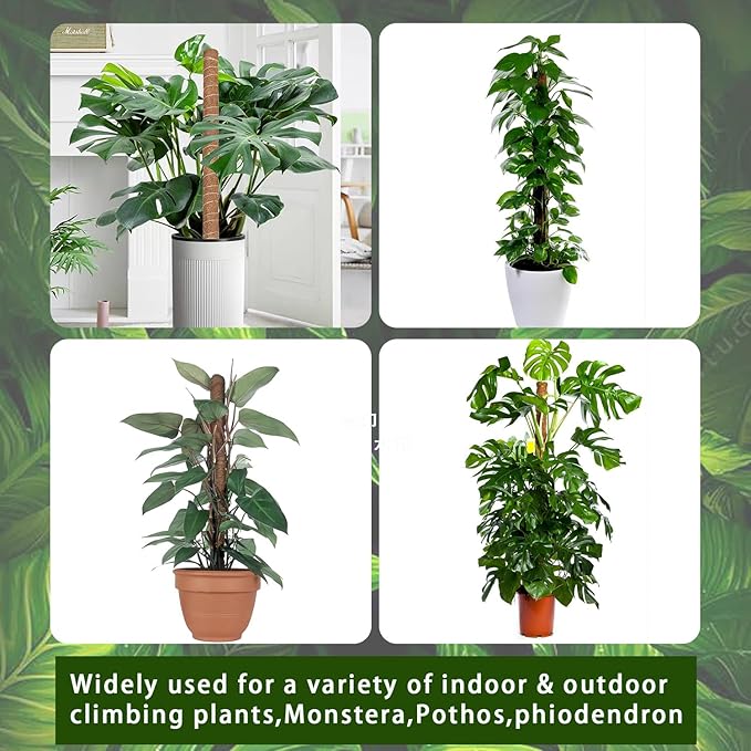 Moss Pole - 2 Pack: 17 Inch Coir Plant Support - Stackable - For Climbing Plants