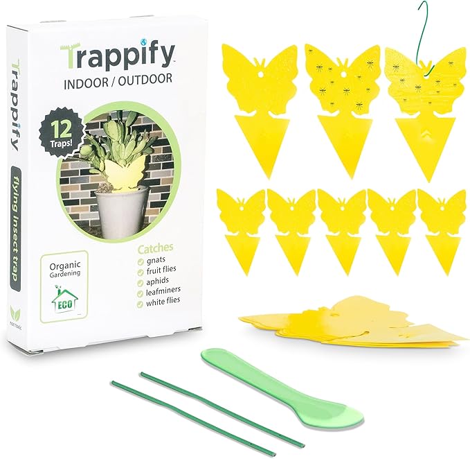 Trappify Sticky Gnat Traps for House Indoor - Yellow Fruit Fly Traps for Indoors|Outdoor Plants | Insect Catcher for White Flies, Mosquitos, Fungus Gnats | Disposable Glue Fly Trap Indoor (12 Pack)