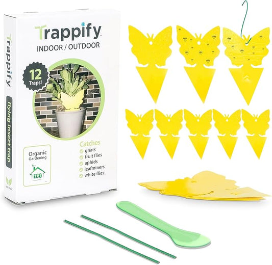 Trappify Sticky Gnat Traps for House Indoor - Yellow Fruit Fly Traps for Indoors|Outdoor Plants | Insect Catcher for White Flies, Mosquitos, Fungus Gnats | Disposable Glue Fly Trap Indoor (12 Pack)