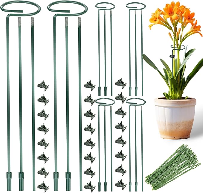 6 Pack (DIY) Plant Support Stakes, Three Sizes (12 or 24 or 36 inch) Plant Support Rings for Outdoor or Indoor, Garden Plant Stakes for Flowers Vegetable Roses Daffodils Tomatoes