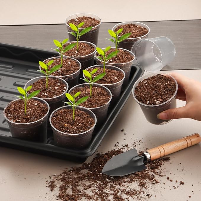 2.5" Clear Seeding Pots 100-Pack Round for Seeds Starter Pots, Seeds Germination Transparent Nursery Pot with Drainage Holes (2.5Inch,100Pcs,Clear)