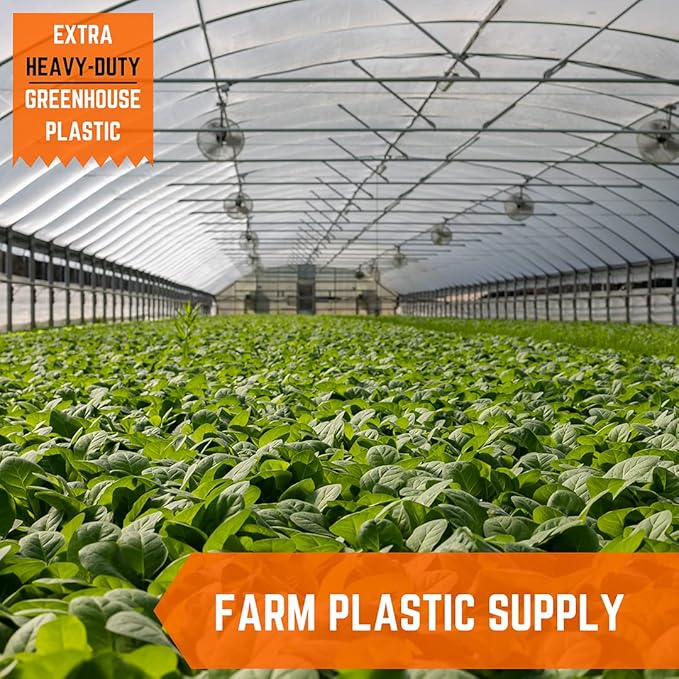 Farm Plastic Supply - Clear Greenhouse Plastic Sheeting - Ultra Durable - 8 mil - (50' x 45') - 4 Year UV Resistant Polyethylene Greenhouse Film for Gardening, Farming, Agriculture