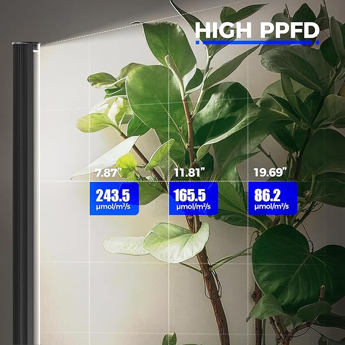 Barrina T1S Standing Grow Light for Indoor Plants with Timer, 65W 5000K High PPFD Full Spectrum, Tera Series Vertical Grow Lights Adjustable Height 5FT-5.6FT, Foot Switch, Non-Glare Design, Black