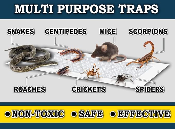 MaxGuard Glue Trap Strips (24 Traps) Non-Toxic Extra Sticky Glue Board Pre-Baited with Fruity Scent Attractant Trap & Kill Insects, Bugs, Spiders, Crickets, Scorpions, Cockroaches, Centipedes, Mice