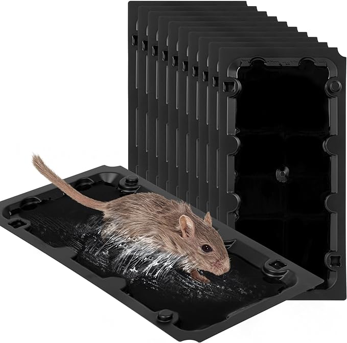 10 Pack Sticky Mouse Trap Rat Traps Indoor, Peanut Taste Pheromone Mouse Traps Indoor for Home