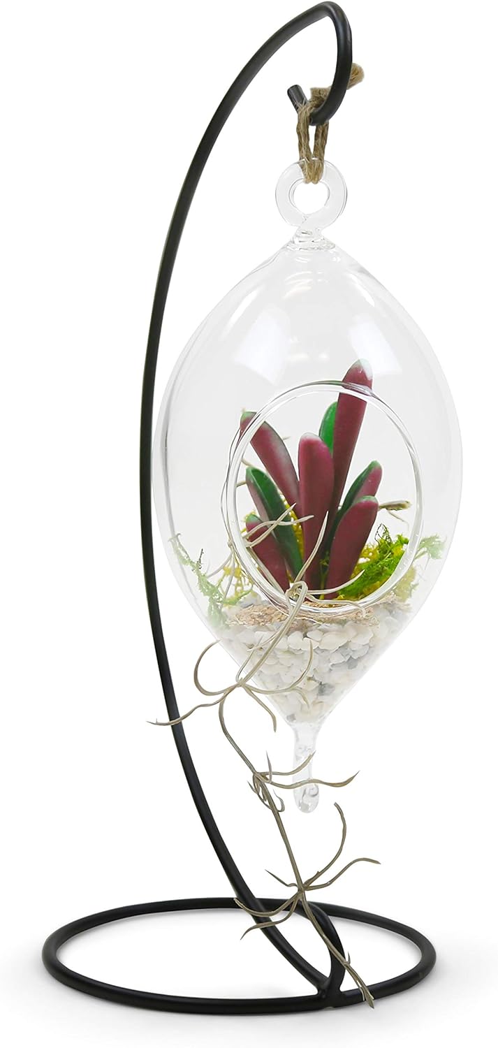 WGV Hanging Terrarium, Width 3.5", Height 7", Oblong, Double Hook, DIY Air Succulent Planter, Clear Glass Vase Orb, Candle Holder for Windowsill Outdoor Garden Decor, 6 Pieces Bulk