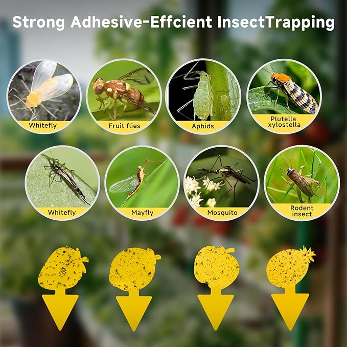 Fruit Fly & Fungus Gnat Traps 40 Pack – Yellow Sticky Gnat Traps for House Indoor & Outdoor Plants, Non-Toxic and Odorless Insect Bug Catcher