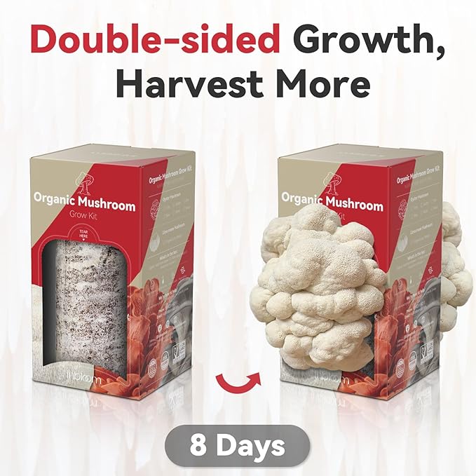 inbloom Double-Side Organic Lion's Mane Mushroom Growing Kit, Non-GMO White Indoor Mushroom Grow Kit (4 lbs), Easy to Use Plump Mushroom Kit Gift for Birthday, USA