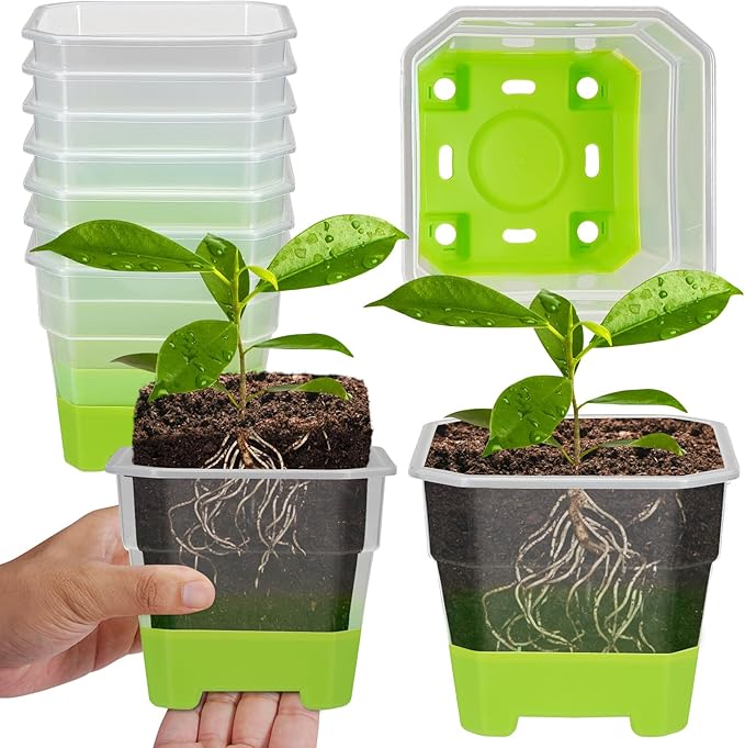 Aobiono 10 Packs 4 Inch Clear Nursery Pots with Reinforced Silicone Base for Easy Transplant, Reusable Seed Starter Seedling Small Plant Flower Pots with Drainage (Green, 10 Packs)