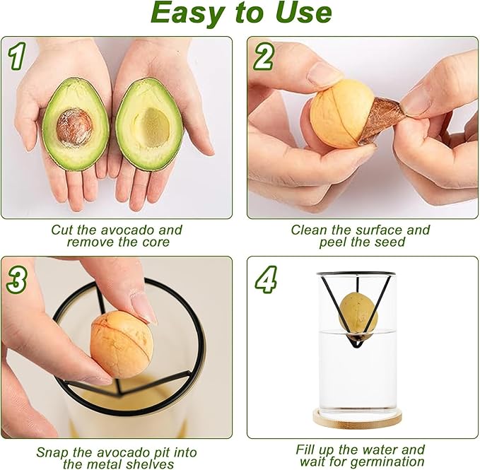 Avocado Seeds - Avocado Seed Starter Vase Rack for Mason Jar of Wide-Mouth 4Pcs, Avocado Seed Holder Triangular Metal Bracket for Family Friends and Gardening Enthusiasts (3 Pcs Vase Set)