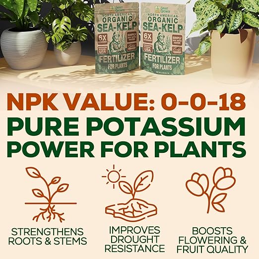 Organic Sea Kelp Fertilizer for Plants – Water-Soluble – Makes 200 Gallons – Kelp Meal Concentrate Plant Food – for Indoor Gardens, Hydroponics, Vegetables, Houseplants - Smart Grower - 8oz Bag