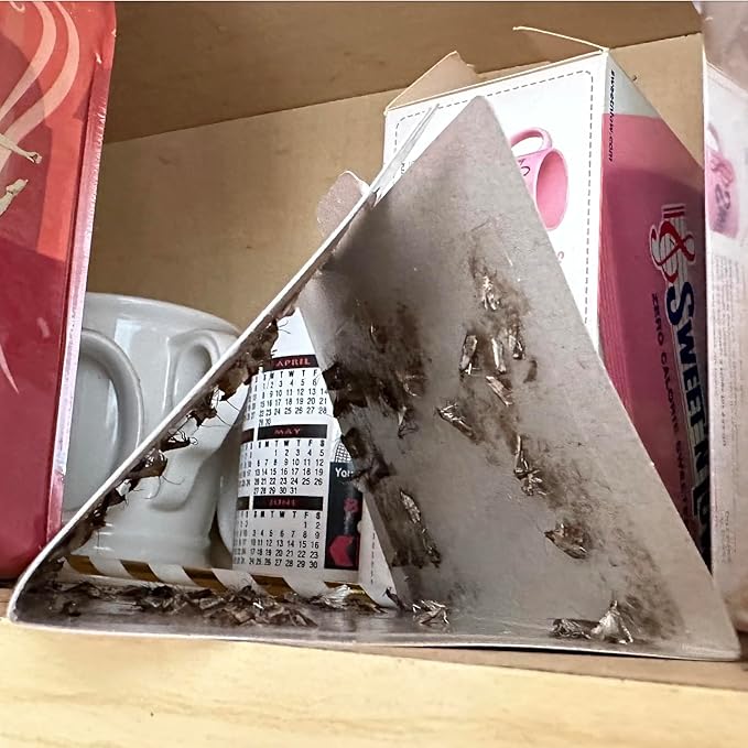 Powerful Pantry Moth Traps Pack of 6 | Moth Killer with Pheromones | Kitchen Moth Trap for Your Home | Maximum Pheromone Dispersal | No Odor