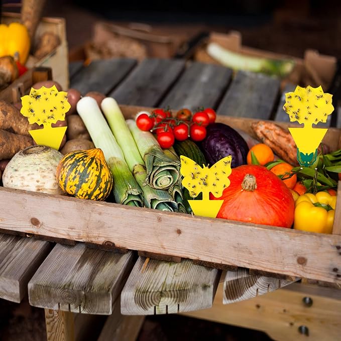 120 Pack Fruit Fly Trap for Indoors, Fungus Gnat Killer Indoor Sticky Traps for Mosquito and Flying Insects, Bug Pest Insect Catcher Killer for Houseplant Non-Toxic