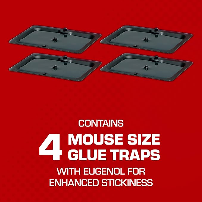 Tomcat Mouse Trap with Immediate Grip Glue for Mice, Cockroaches, Spiders, and Scorpions, Ready-To-Use, 4 Traps