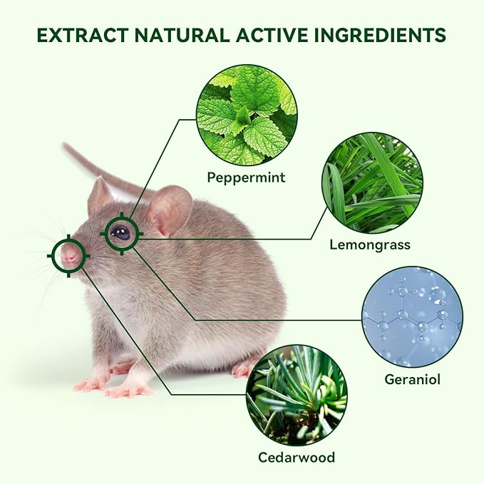 24 Pack Peppermint Mouse Repellent, Effective Against Mice, Rats and Pests, Safe for Pets and Families, Indoor and Outdoor Use