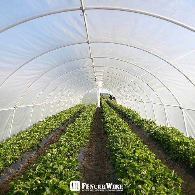 Fencer Wire 6 mil Clear Greenhouse Plastic Sheeting UV Resistant Polyethylene Greenhouse Film, Hoop House Cover for Horticulture, Gardening, Farming and Agriculture 90% Light Transmittance, 16’ x 28’