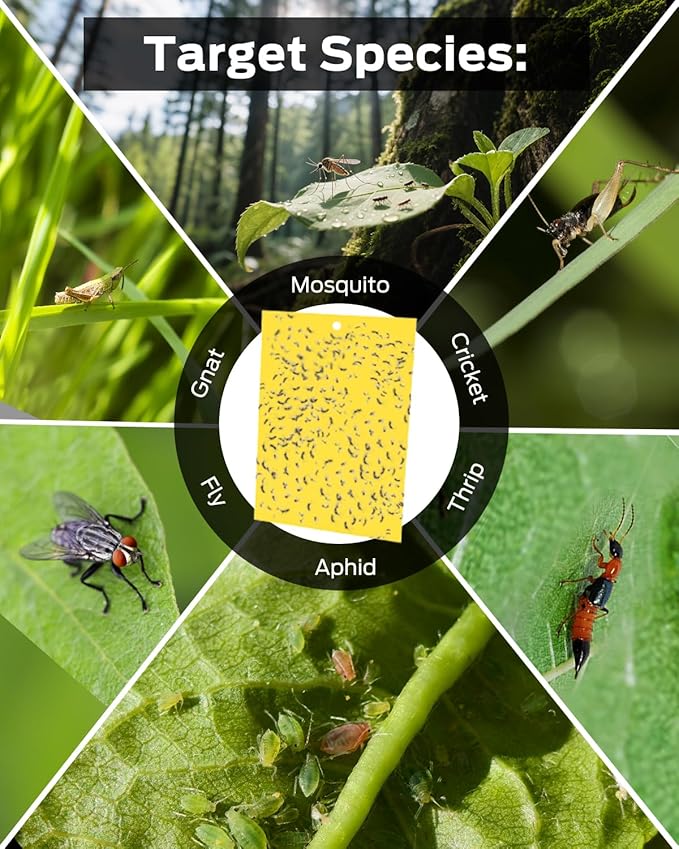 Gnat Sticky Traps for Plants, Plant Bug Sticky Traps Indoor/Outdoor, with Gardening Gloves for Women, 25PCS, Non-Toxic, Odorless, Harmless to Vegetables, Fruits, Plants