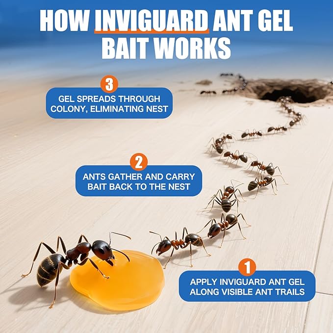 Ant Gel Bait, 3Tubes x 10-Grams, Indoor and Outdoor Use, Killer Gel for Control of Most Major Ant Species, Ready-to-Use Ant Traps for Home & Outdoor