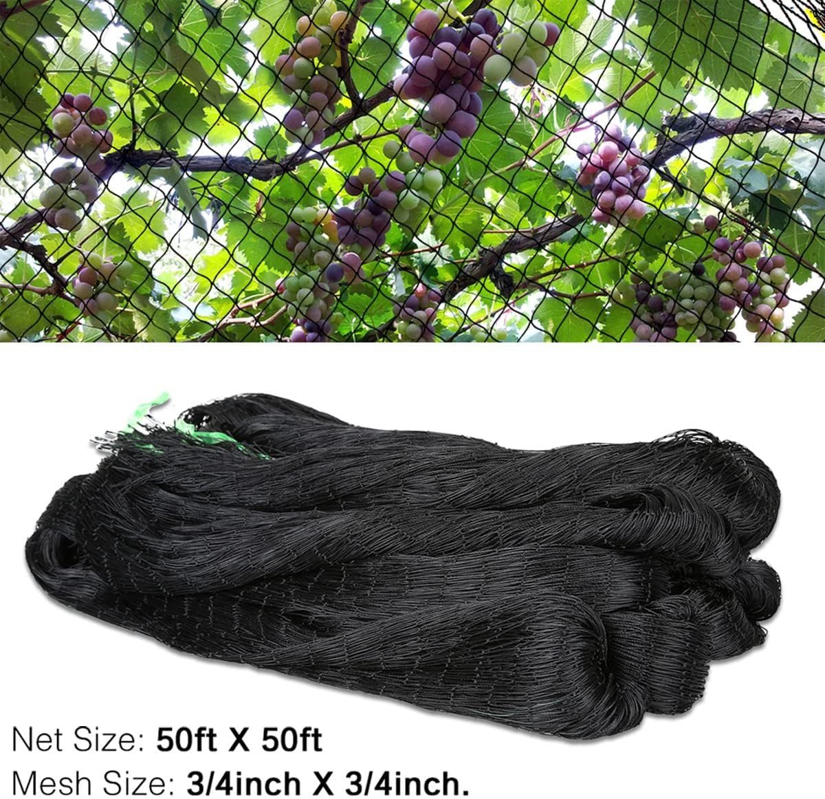 OGORI 50' x 50' Bird Netting Heavy Duty Nylon 3/4" Mesh Garden Netting Protect Fruit Trees, Plants and Vegetables