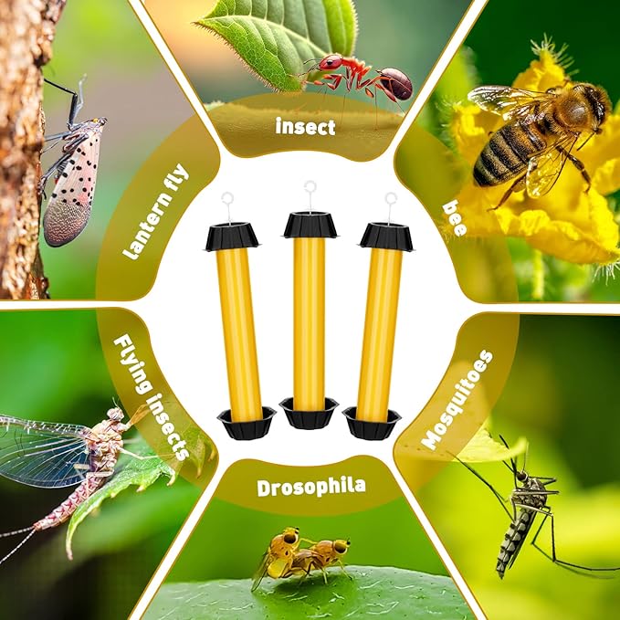 Qualirey Fly Traps for Indoor Outdoor Hanging Fruit Fly Stick Trap Sticky Mosquito for Home Insect 10 x 2.5 Inches(Yellow,12 Pcs)