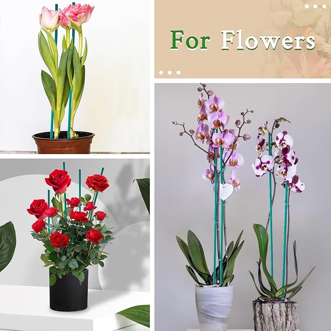 Plant Stake 17 Inch SupKing Wood Plant Sticks 30 Packs Orchid Stakes Sturdy Green Bamboo Plant Support Stake Gardening Floral Potted Plant Support