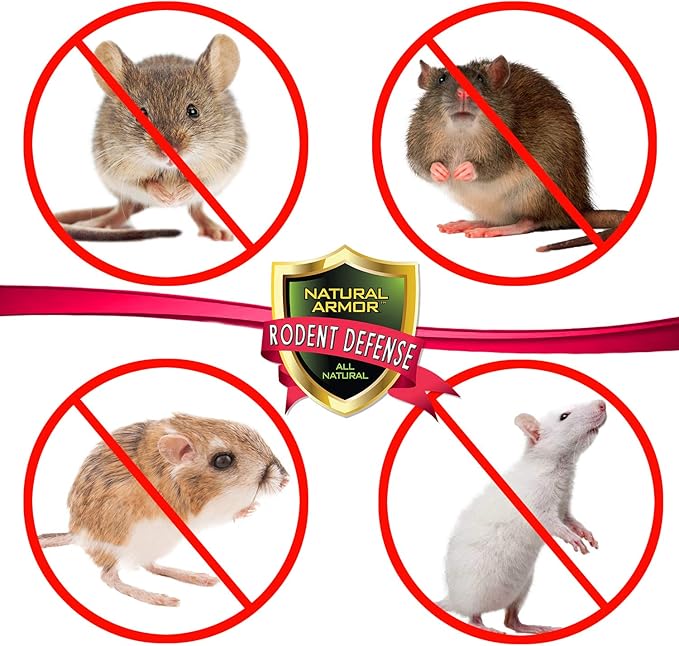 Natural Armor Peppermint Repellent for Mice/Mouse, Rats & Rodents. Natural Spray for Indoor & Outdoor Use Rodent Shield - 320 Fl Oz (2.5 Gallons, Case of 2)