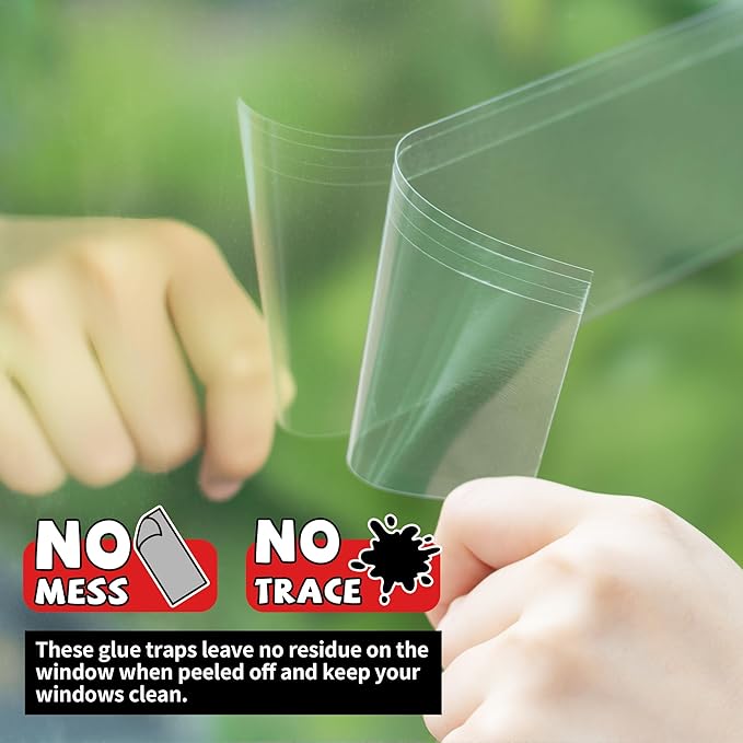 LULUCATCH Window Fly Traps, 36 Pack Fruit Fly Traps for Indoors, Gnat Traps Bug Catcher, Non-Toxic Flying Insect Trap, Sticky Traps for Mosquito, Moth, Pet Safe Pest Control for Home Kitchen