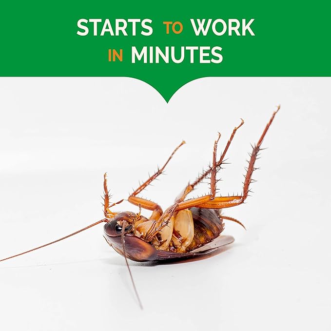 Hot Shot Ultra Clear Roach & Ant Gel Bait, 1-Count, 6-Pack, Plain