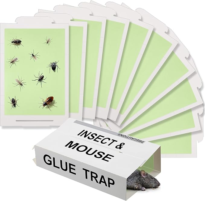 Qualirey 10 Pack Mice Traps, Green Super Sticky Mouse Traps for Mice and Rats, Peanut Butter, Pre-Scented and Non Toxic, Indoor Pet Safe Pest Control for Cockroaches, Spiders, Scorpions, 8 X 5.5 Inch