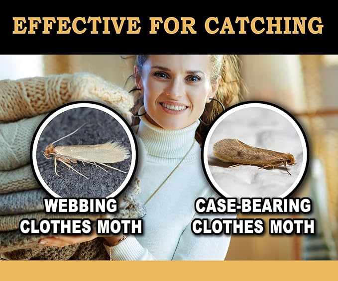 MaxGuard Clothes Moth Traps (6+2 Free Traps) with Extra Strength Pheromones | Non-Toxic Sticky Glue Trap for Closets and Carpet Moths | No Mothballs | Lure, Trap and Kill Case-Bearing Webbing Moths |