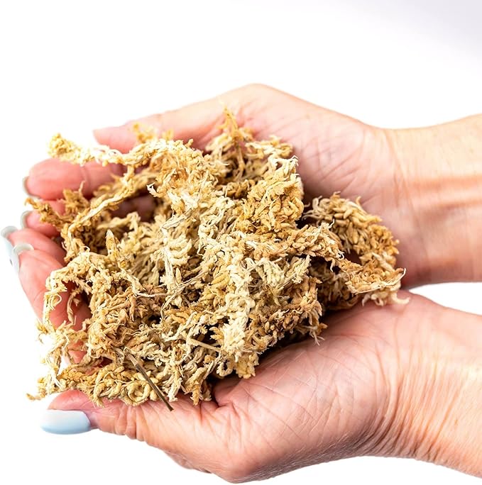 Premium New Zealand Sphagnum Moss by Gardenera - Organic Hand Mixed Long Fibered Sphagnum Moss Orchid - 1 Quart