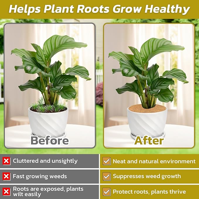 Legigo 4pcs Coconut Fiber Mulch Ring Tree Plant Protector Mat, 11.8 Inch Natural Coco Coir Tree Protection Ring Plant Pot Soil Cover, Tree Rings Disc Plant Cover for Indoor Outdoor Plants, Landscaping