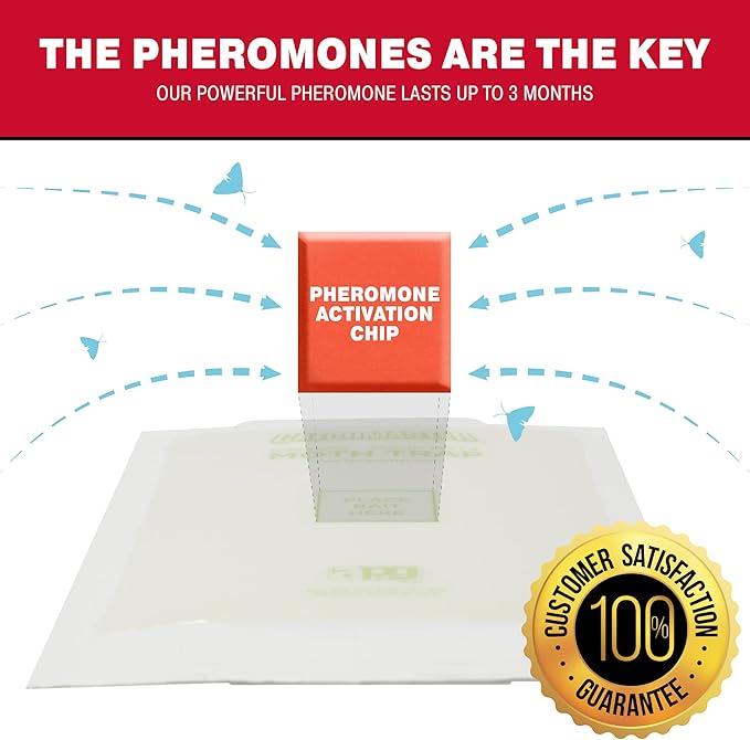 Catchmaster Pantry Pest & Moth Traps 2-Pk, Bug Killer for Kitchen Storage & Pantry Cabinet, Sticky Moth Traps for House, Protect Pet Food, Kitchen Cabinets Storage, Pet Safe Glue Trap