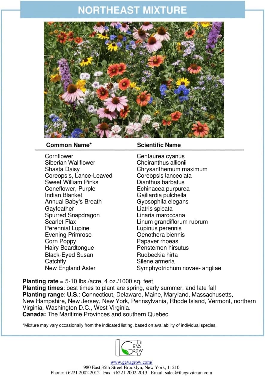 on The Go Regional Wildflower Seed Shaker - Northeast USA Wildflowers - 100% Pure Seed - Organic, Non-GMO - 21 Wildflower Variety Seeds of Annual & Perennial, 2oz