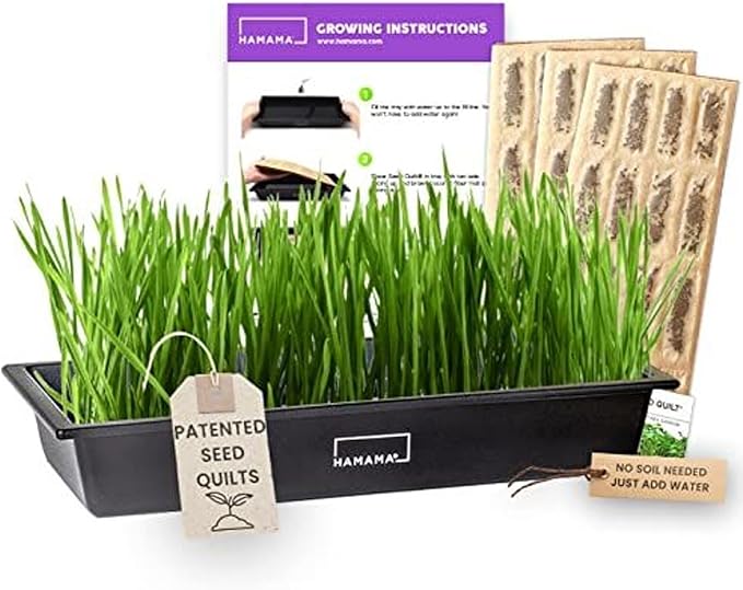 HAMAMA Microgreens Growing Kit Wheatgrass - Indoor Sprouts Mat - Seed Quilts Easy Setup Pack of 3 - Plastic Tray