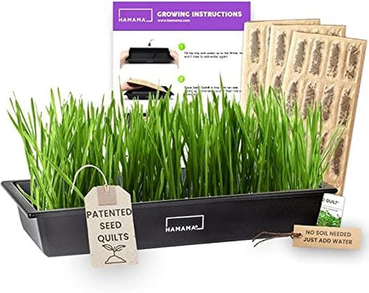 HAMAMA Microgreens Growing Kit Wheatgrass - Indoor Sprouts Mat - Seed Quilts Easy Setup Pack of 3 - Plastic Tray