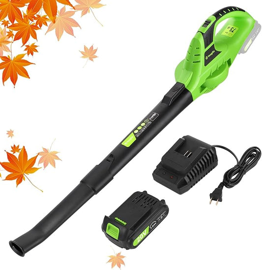 YOUGFIN Leaf Blower Cordless, 20V Handheld Electric Leaf Blower with 2.0Ah Battery and Charger, 2 Speed Mode, Lightweight Battery Powered Blowers for Lawn Care, Yard, Snow Blowing