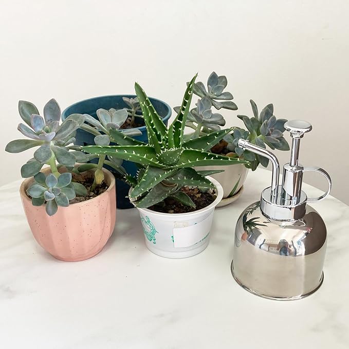 Plant Mister Spray Bottle Stainless Steel Plant Sprayer, Small Watering can Plant Spray Bottle Modern Gardening Tools for Indoor Potted Plants Watering and Spraying
