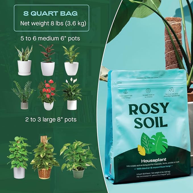 Rosy Soil Indoor Potting Soil for House Plants, 2 x 8 qrt - Organic Potting Soil Mix for Indoor Plants -Enriched w/Root-Boosting Biochar for Foliage Plants, Flowers, Herbs - Pack of 2