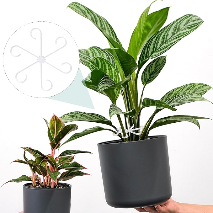 8PCS Plant Stem Support, 4 Sizes Climbing Houseplant Stem Holders, Plastic Reusable Flower Trellis Stem Hook Plant Care Growth Accessories for Flower Plants Indoor Outdoor - Clear