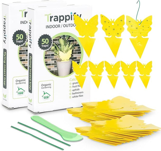 Trappify Sticky Gnat Traps for House Indoor - Yellow Fruit Fly Traps for Indoors|Outdoor Plants | Insect Catcher for White Flies, Mosquitos, Fungus Gnats | Disposable Glue Fly Trap Indoor (100 Pack)