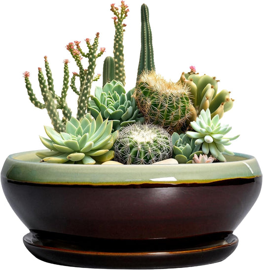 SQOWL Succulent Planters 10 Inch - Ceramic Bonsai Pots with Drainage Hole and Saucer, Shallow Indoor Planter, Round Succulent Pot, Bowl Planter Outdoor, Porch Decor, Gift for Plant Lover, Green-Brown