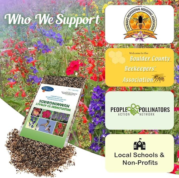 Hummingbird Nectar Wildflower Seeds - 1oz, Open-Pollinated Flower Seed Mix Packet, Non-GMO, No Fillers, Annual, Perennial Wildflower Seeds Year Round Planting - 1 oz