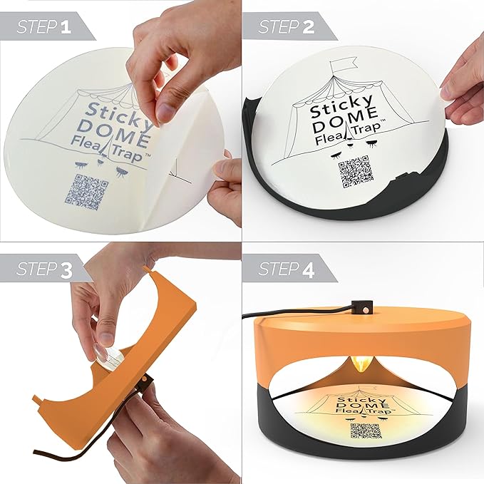 ASPECTEK Sticky Dome Flea Trap, Odorless Glue Trap with 2 Sticky Discs, Effective Bed Bug Killer and Flea and Tick Treatment, Indoor Insect Trap for Bugs, 2 Packs in Orange and Dark Gray