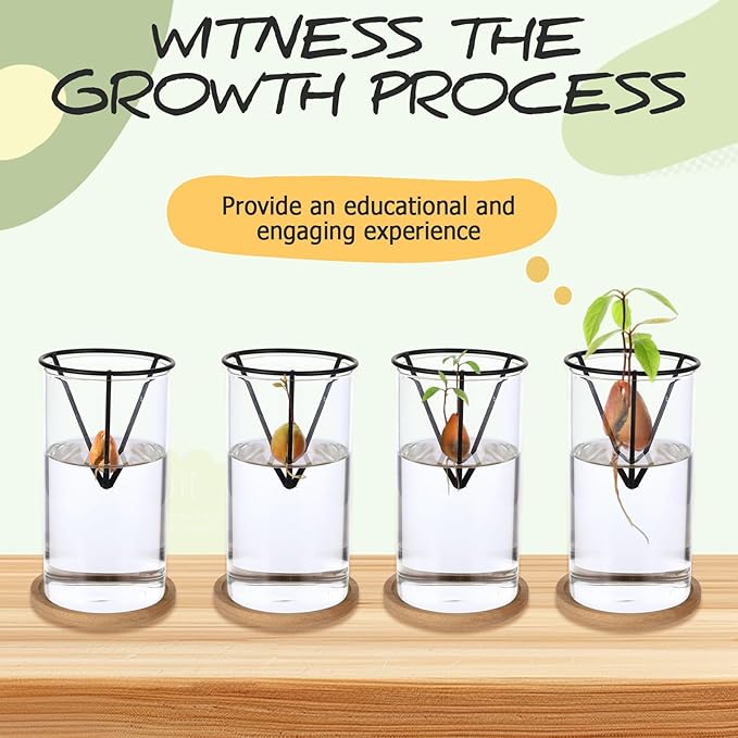 Avocados Vase Avocado Seed Starter Vase, Avocado Trees Live Plants Growing Kit Aguacate Seed Sprouting Kit with Metal Triangle Bracket and Bamboo Base, Glass Sprout Growing Kit for Avocados