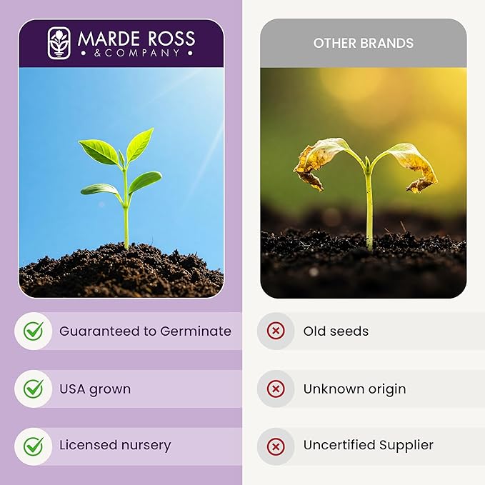 50,000 Shirley Poppies Seeds: Pastel Poppy Seeds