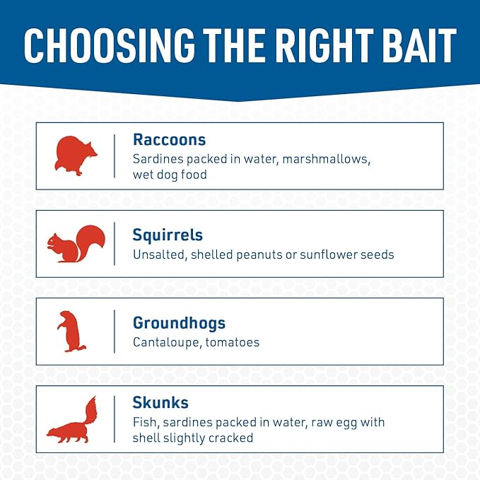 Answer Live Catch Trap for Raccoons, Groundhogs & Other Large Pests – Heavy-Duty Humane Cage Trap – Durable and Easy-to-Use Wildlife Control Solution