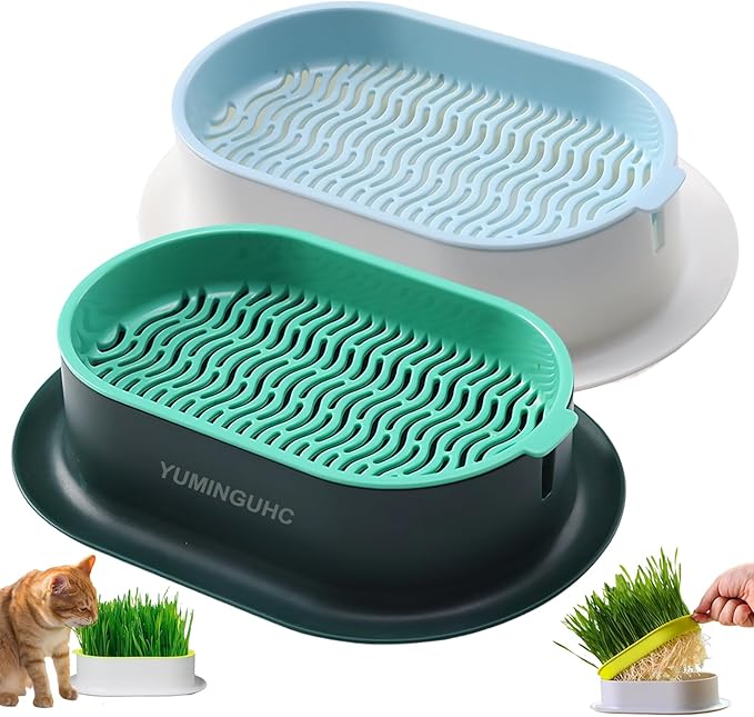 2Pcs Cat Grass Planter for Indoor Hydroponic Wheatgrass Seed Sprout Tray Organic Cat Grass Growing Kit (No Seeds Included) Soilless Pot Planting Box (G)